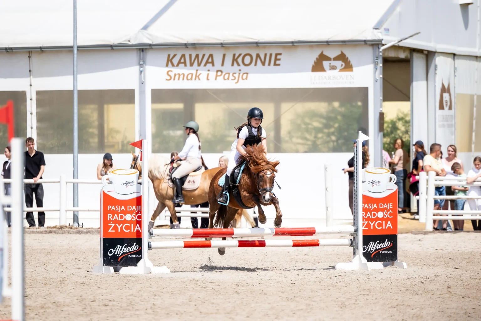 Portfolio zawody jezdzieckie Fotografia sportowa konie – relacja z zawodów jeździeckich w województwie pomorskim.