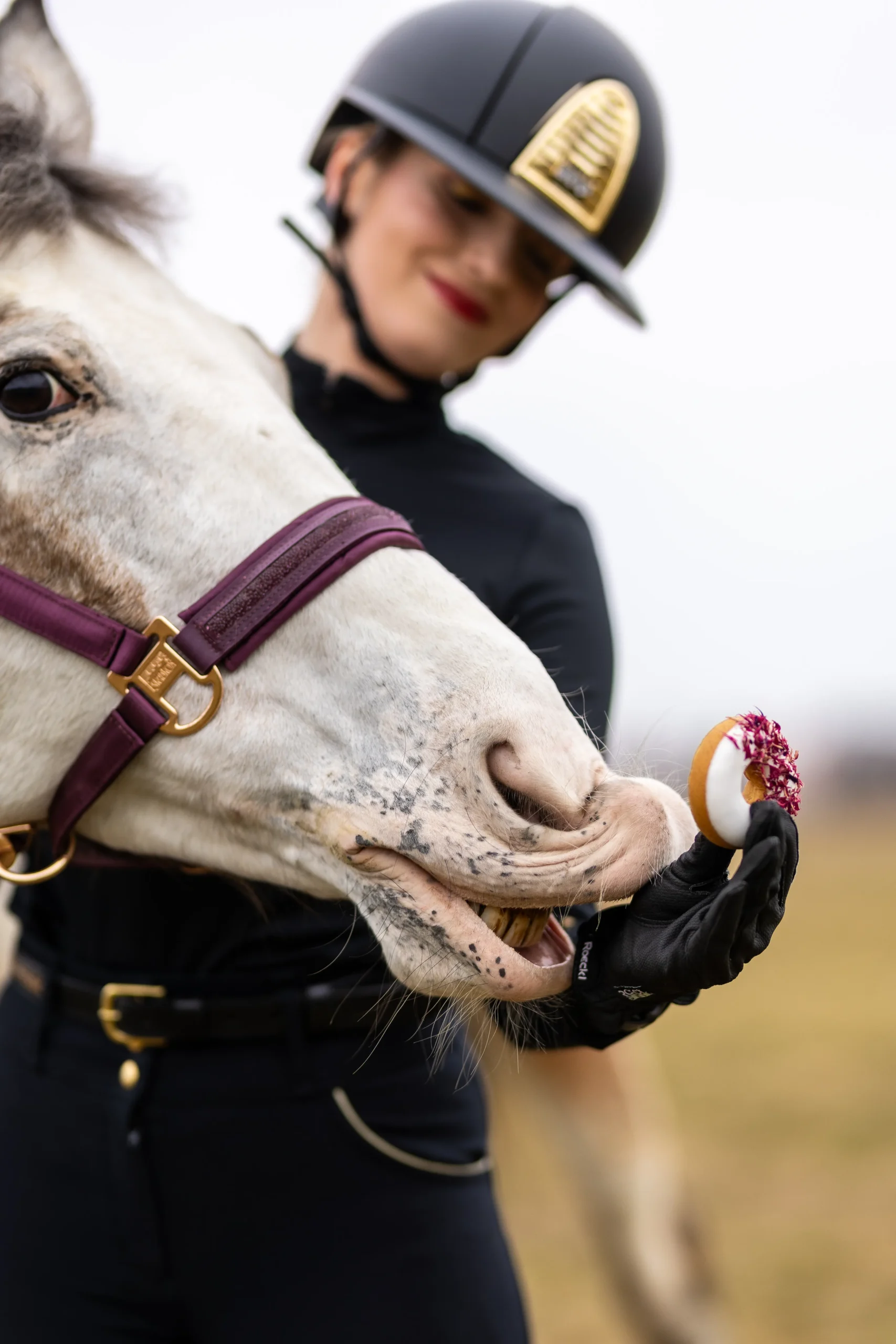 zdjecie-reklamowe-czapraka-marki-premium-fotograf-koni-trojmiasto